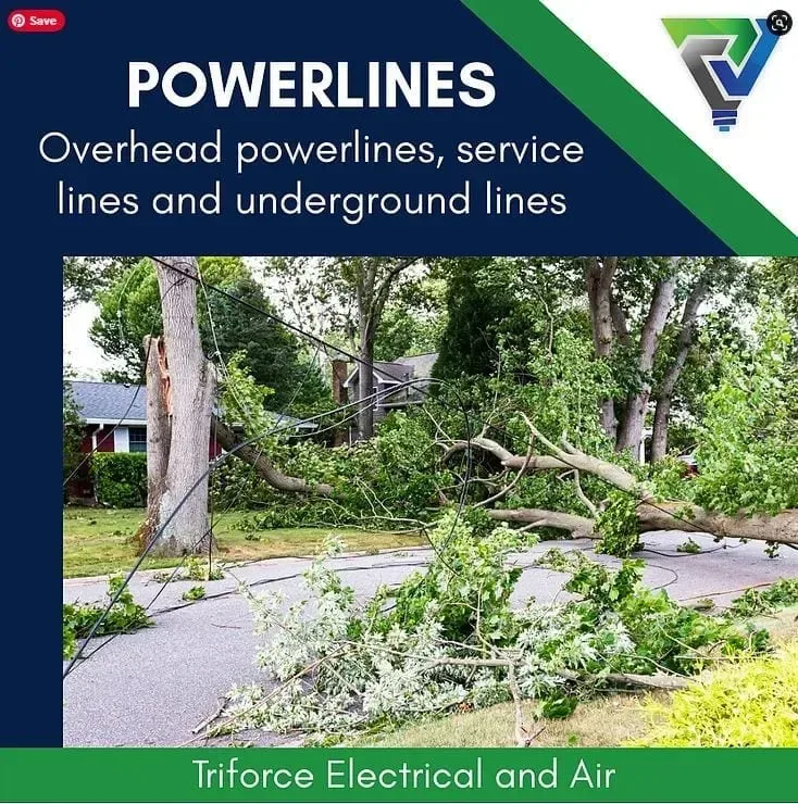 Fallen tree bringing down overhead powerlines &ndash; a serious electrical hazard